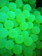 Load image into Gallery viewer, Mad River Custom Steelhead Beads UV NUCLEAR YELLOW INVISIBLE BLUE UV 6mm, 8mm, 10mm, 12mm
